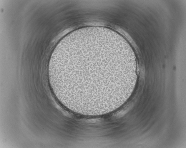 X0000085830433200704132041
