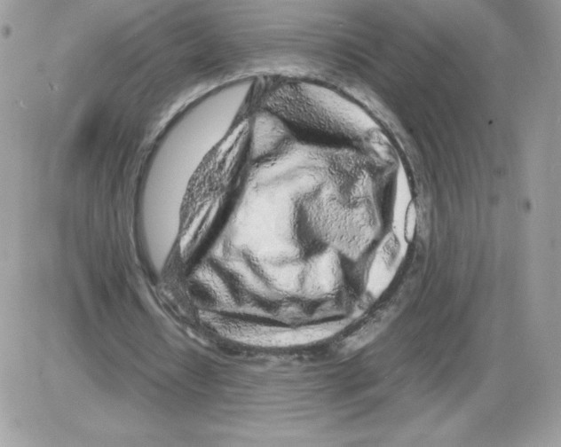 X0000085830434200704132041