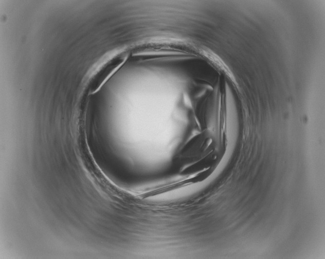 X0000085830436200704132042