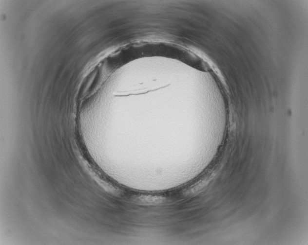 X0000085830437200704132042