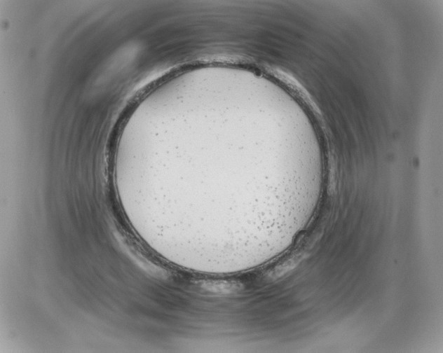 X0000085830439200704132042