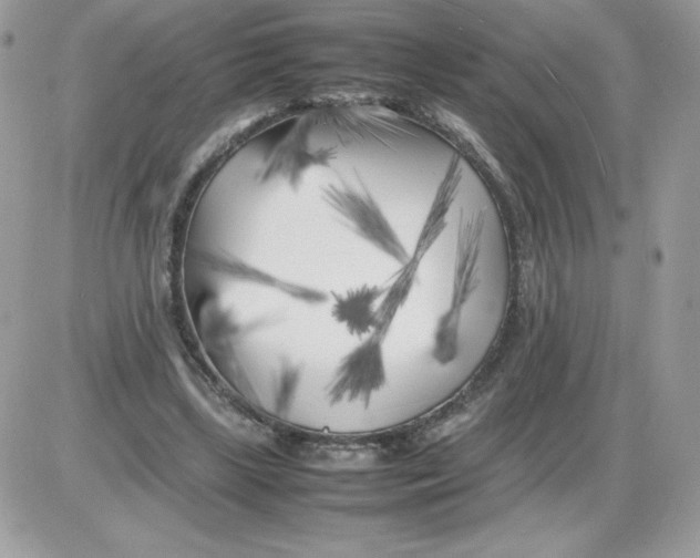 X0000085830443200704132042
