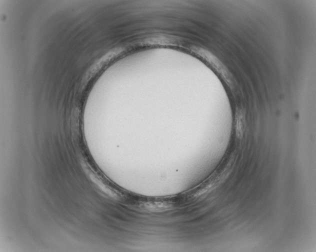X0000085830445200704132042