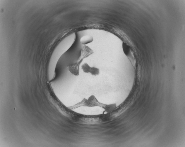 X0000085830449200704132042