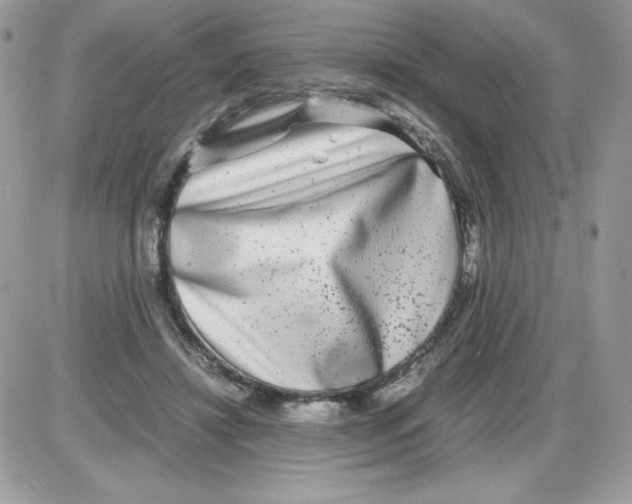 X0000085830452200704132042