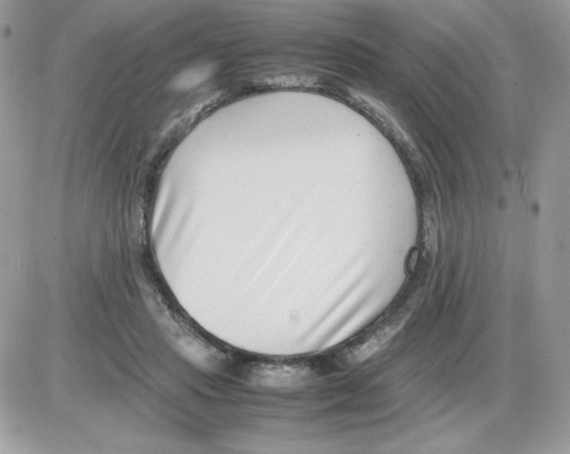 X0000085830453200704132042