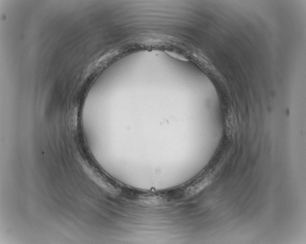 X0000085830454200704132042