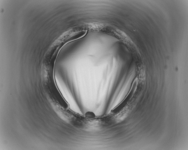 X0000085830456200704132042
