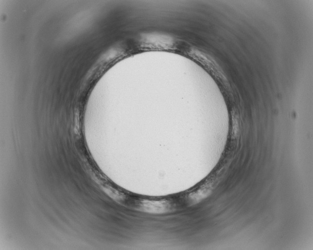 X0000085830457200704132042
