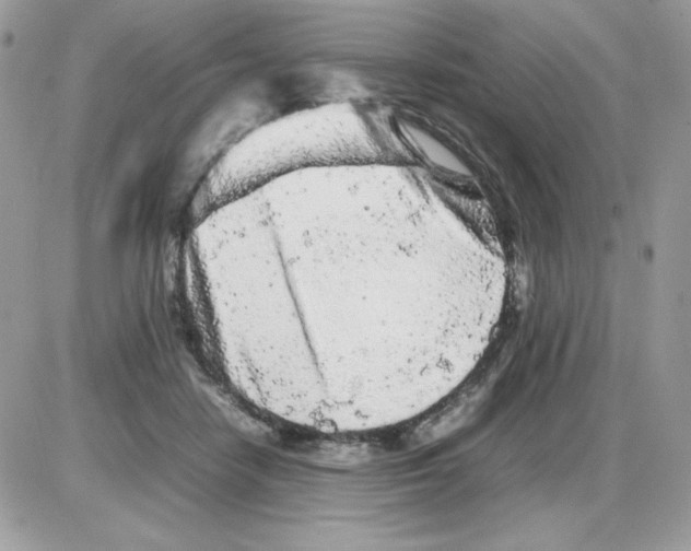 X0000085830458200704132042