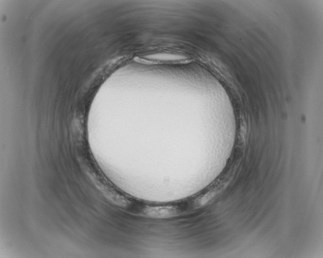 X0000085830461200704132042