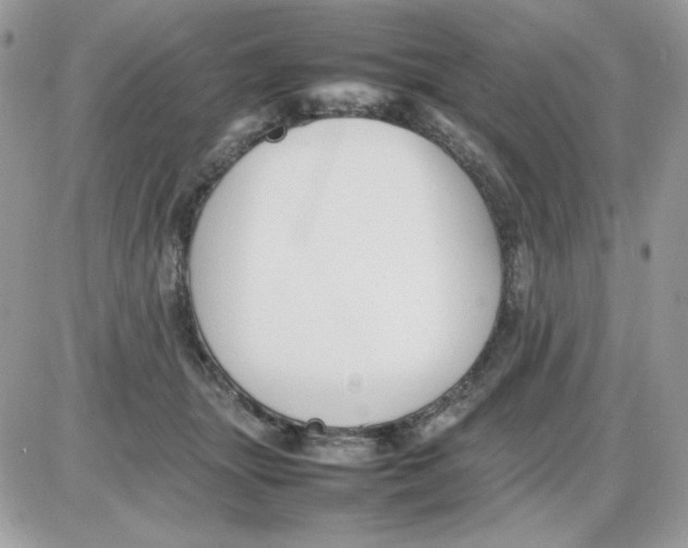 X0000085830463200704132042
