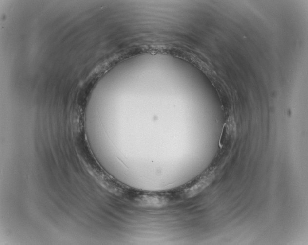 X0000085830464200704132042