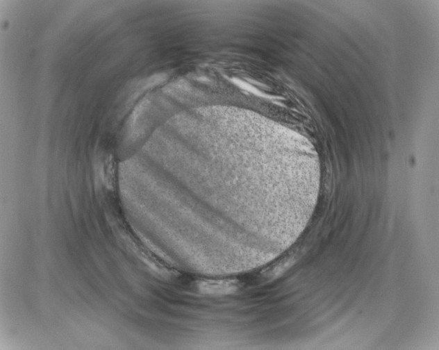 X0000085830465200704132042