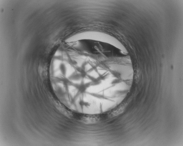 X0000085830466200704132042