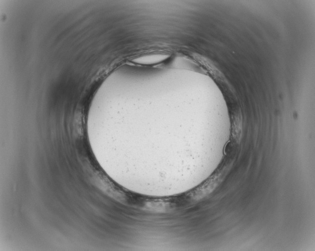 X0000085830470200704132042