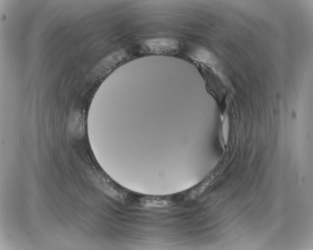 X0000085830471200704132042