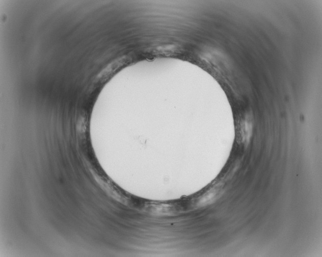 X0000085830472200704132042