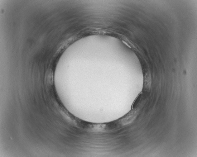 X0000085830474200704132042