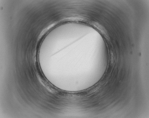 X0000085830486200704132041