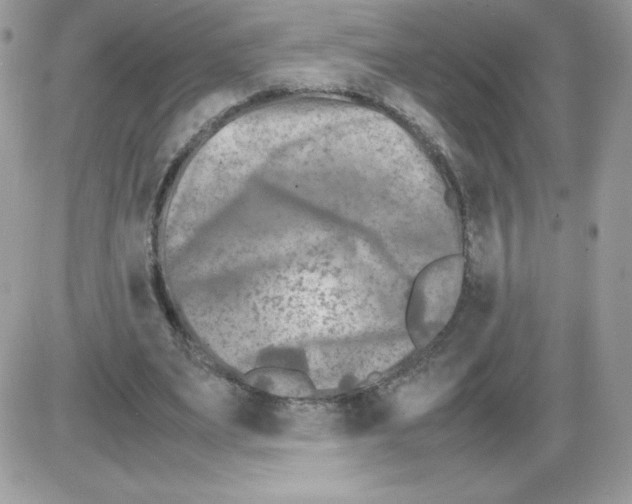 X0000085830487200704132041