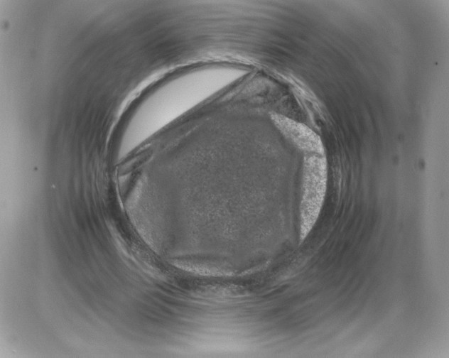 X0000085830488200704132041