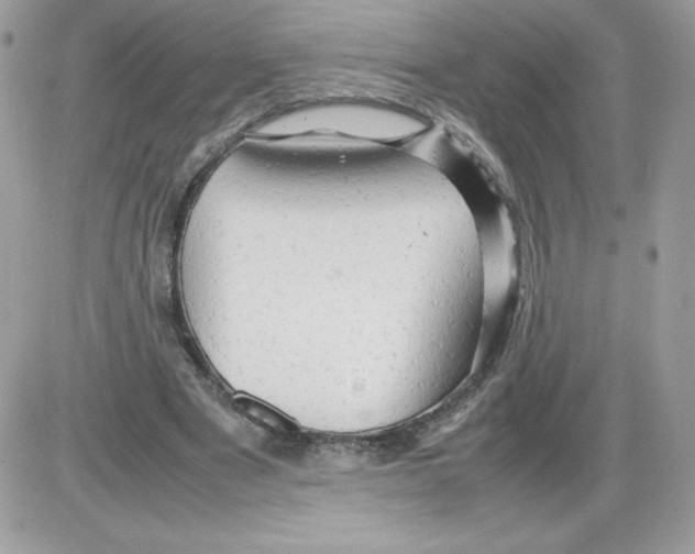 X0000085830489200704132041