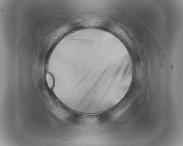 X0000085830491200704132041