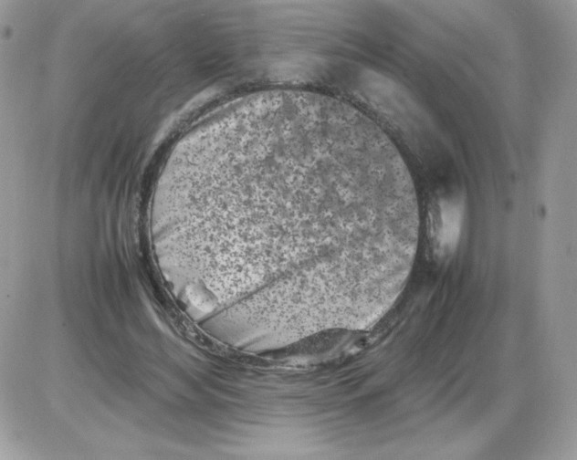 X0000085830492200704132041