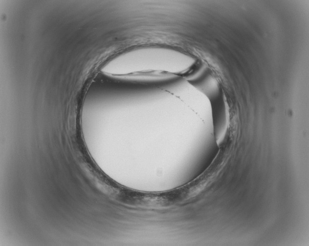 X0000085830493200704132041
