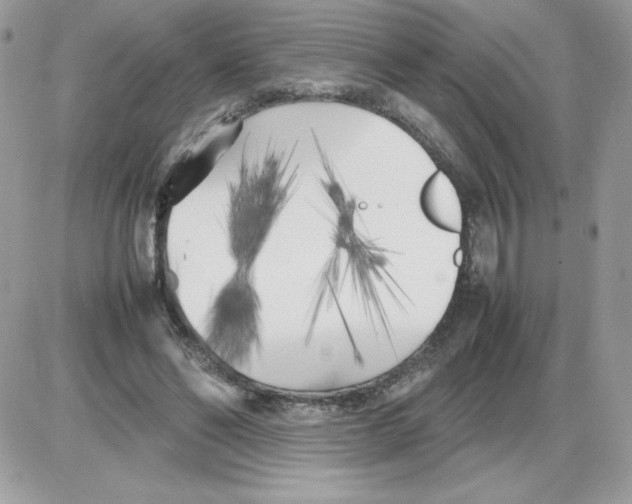 X0000085830494200704132041