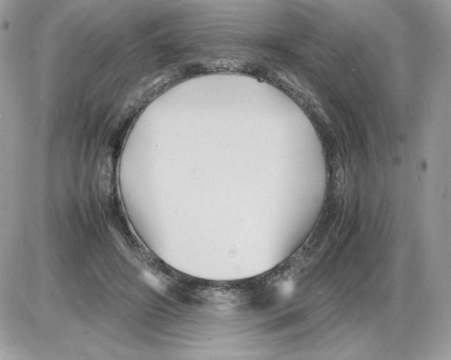 X0000085830498200704132041