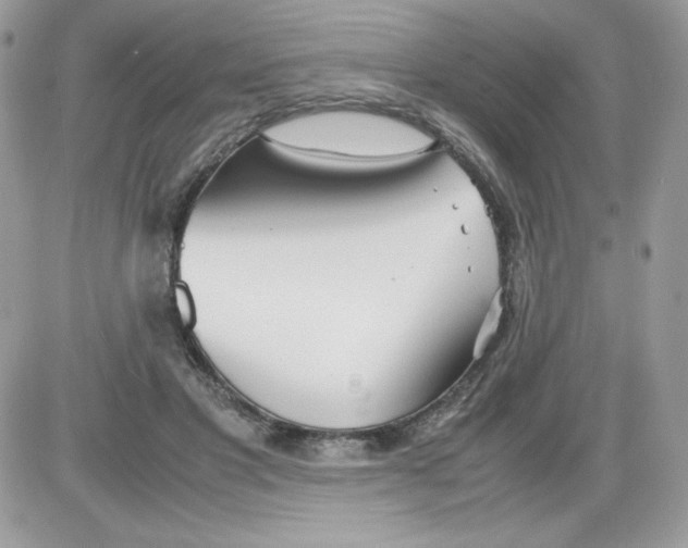 X0000085830501200704132041