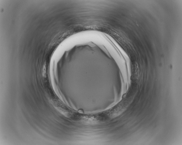 X0000085830502200704132041
