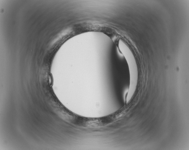 X0000085830505200704132041