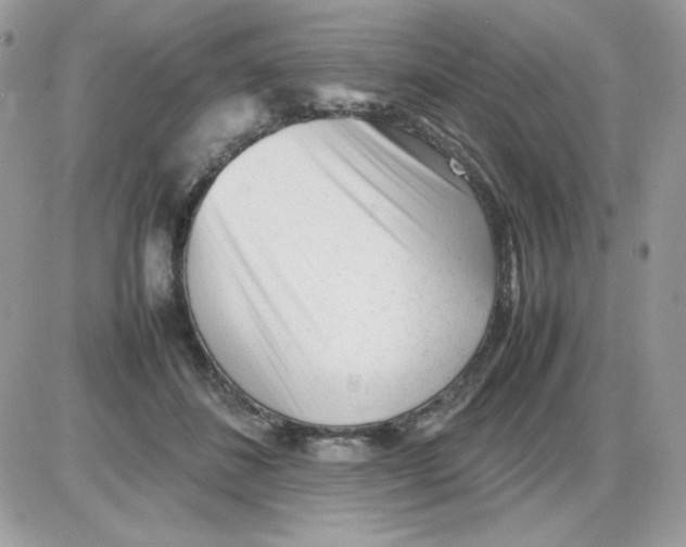 X0000085830508200704132041