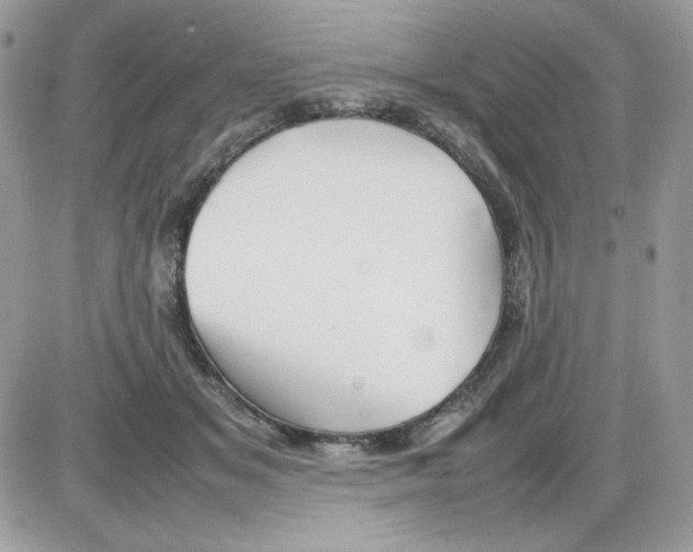 X0000085830509200704132041
