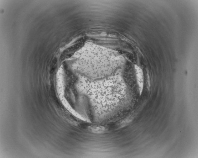 X0000085830512200704132041