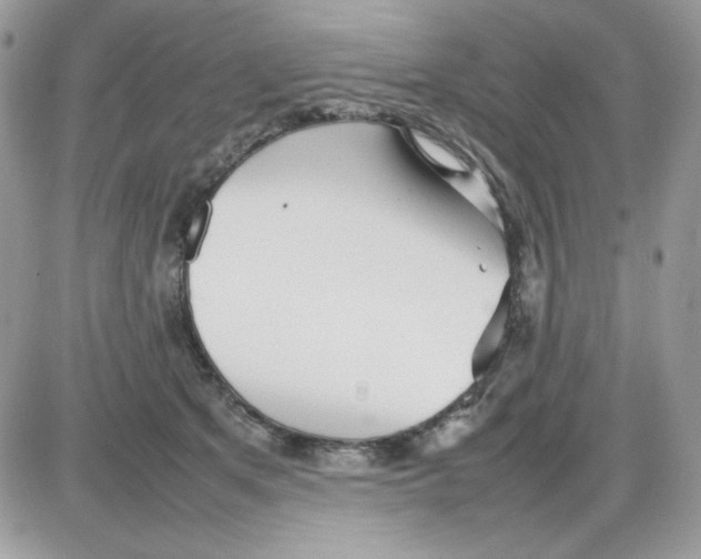 X0000085830513200704132041