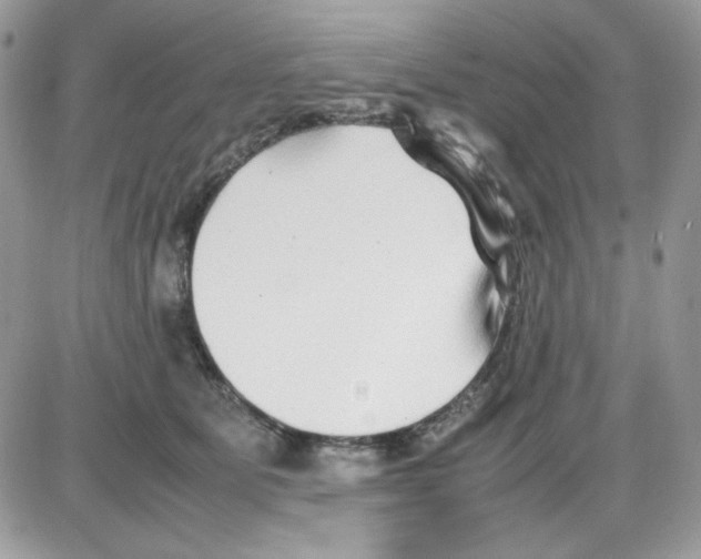 X0000085830515200704132041