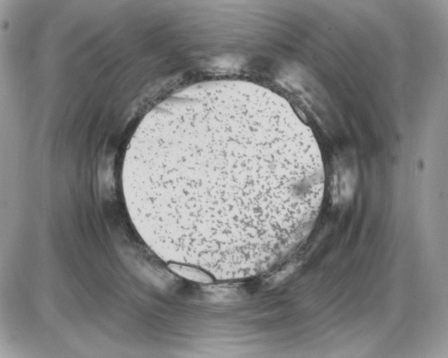 X0000085830516200704132041