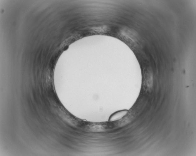 X0000085830518200704132041