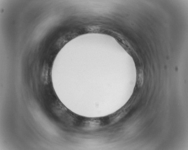X0000085830525200704132041