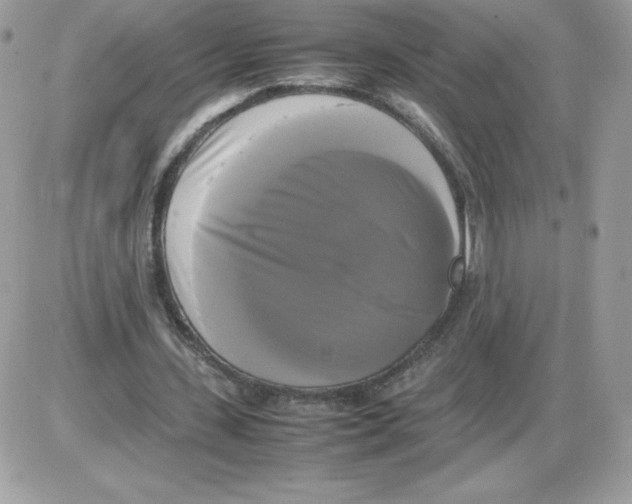 X0000085830531200704132040