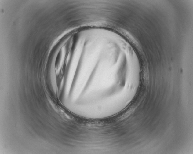 X0000085830532200704132040