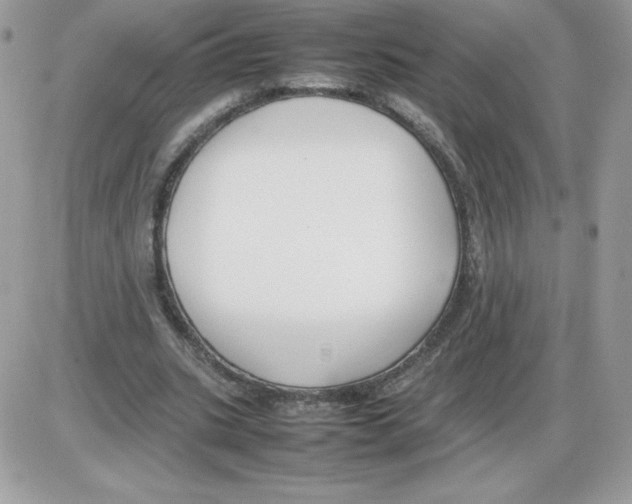 X0000085830535200704132040