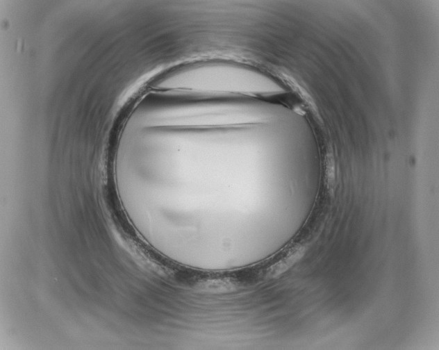X0000085830536200704132040