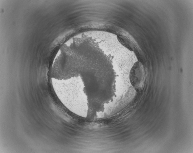 X0000085830542200704132040