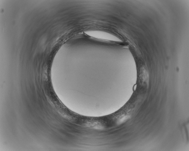 X0000085830547200704132040