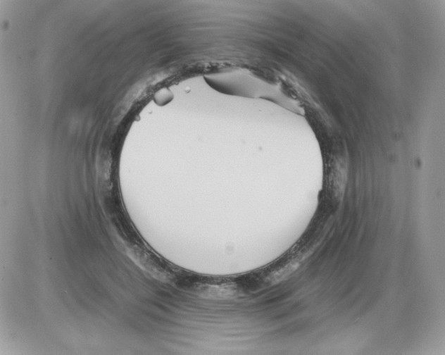 X0000085830548200704132040
